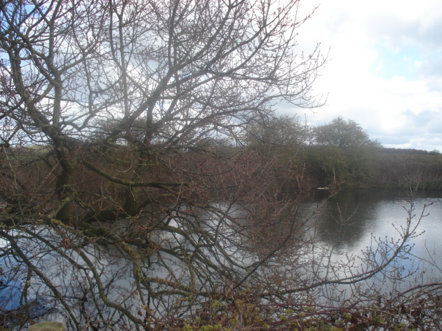 DSC02459