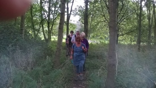 tn WP 20190915 10 36 31 Pro
