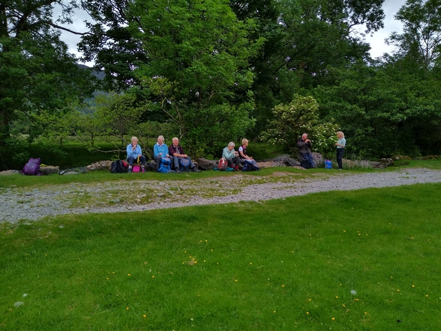 tn IMG 20190618 105925520 HDR