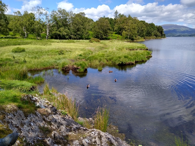 tn IMG 20190618 125510959 HDR